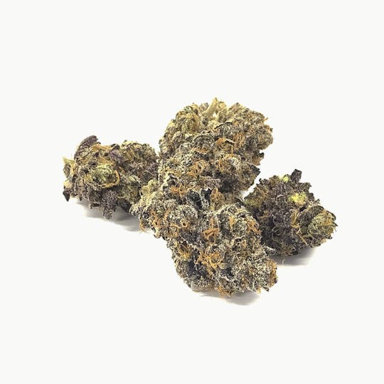 Iron Lung (Medical) - Sunset Sherbet - 1