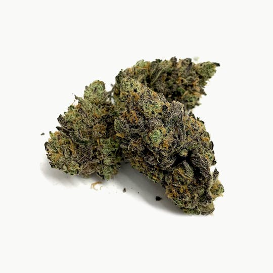 Iron Lung (Medical) - Big Smooth - 1