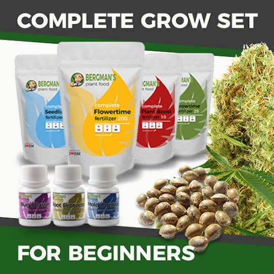 I Love Growing Marijuana - The Complete Marijuana Seed & Grow Set (Beginners) - 1