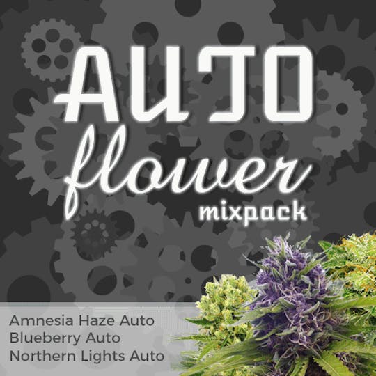 I Love Growing Marijuana - Autoflower Mixpack - 1