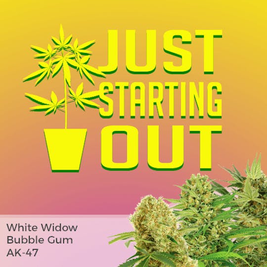I Love Growing Marijuana - Beginner Mixpack - 1