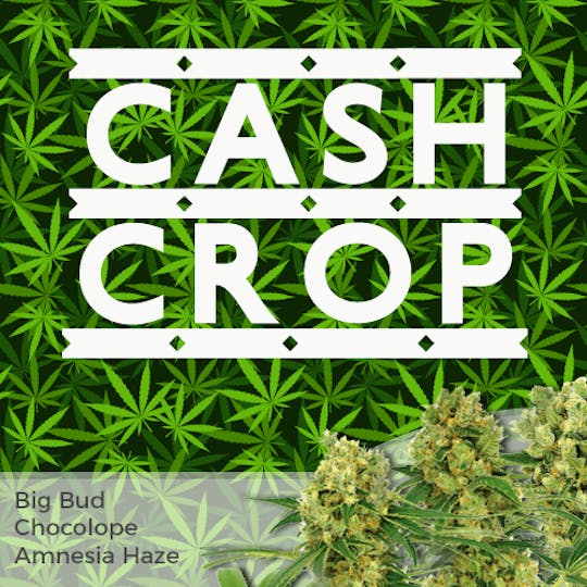 I Love Growing Marijuana - High Yield Mixpack - 1