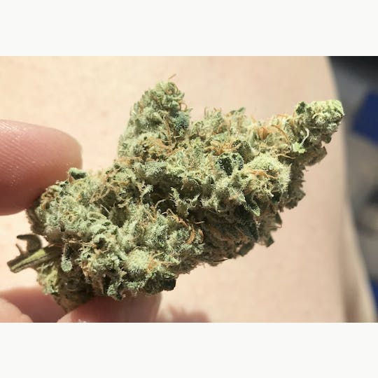 Simply Cannabis 207 - Lemon Bong X Cherry Ghost - 1