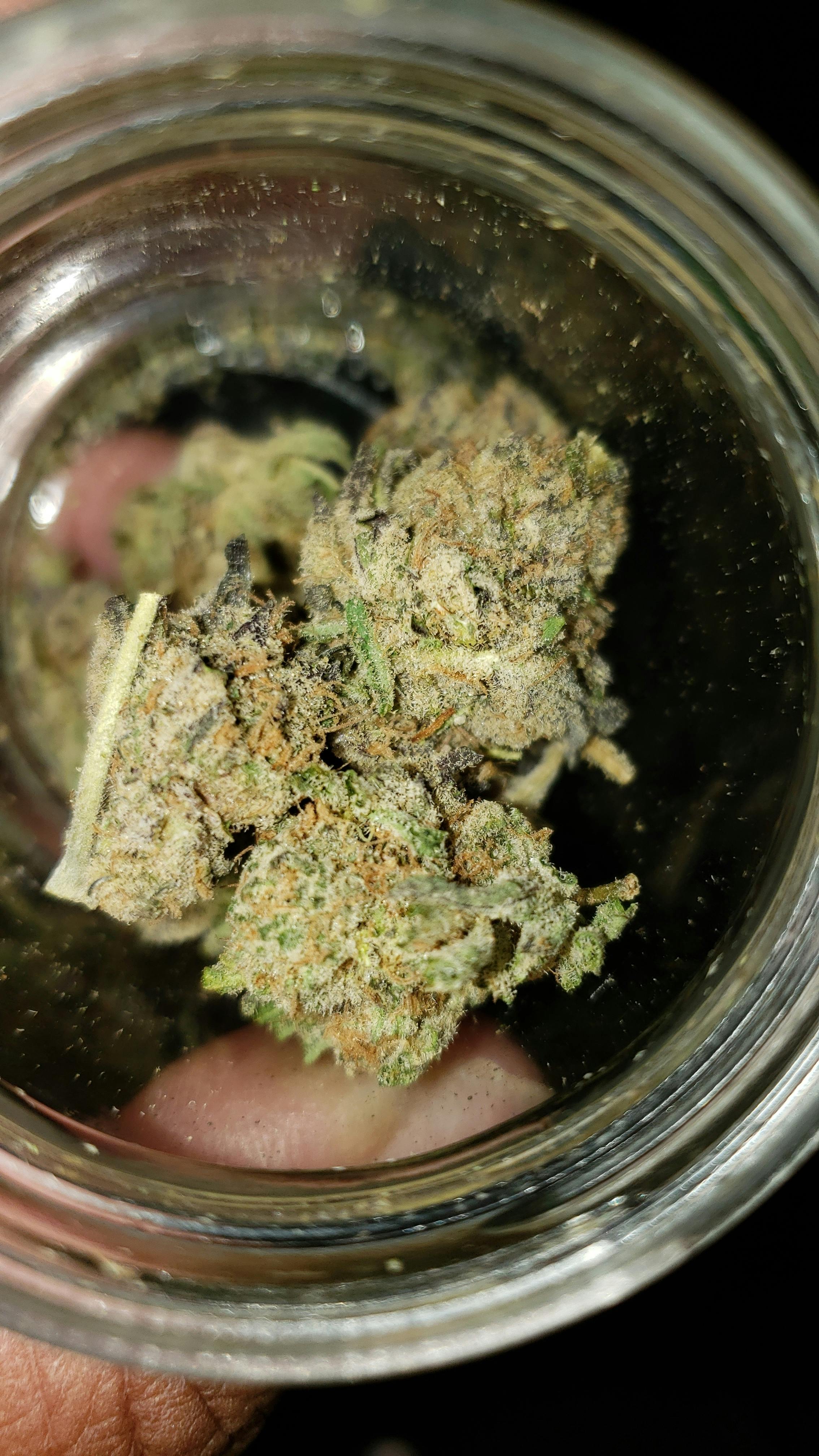 Greenthumb ***TOP SHELF*** MOG CANDYLAND Weedmaps
