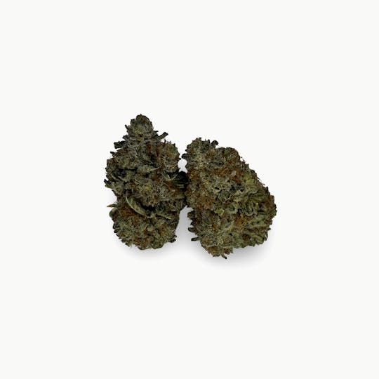 Indico - Pine N' Purp - 1