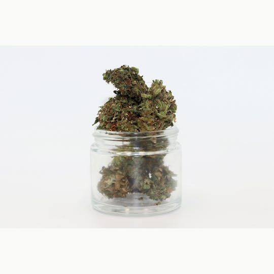 Elevation 207 - Bubblegum Kush *Special - 1