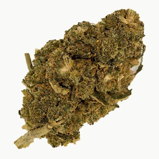 Magic Weed Amsterdam - Lemon Haze Indoor CBD certified - 1