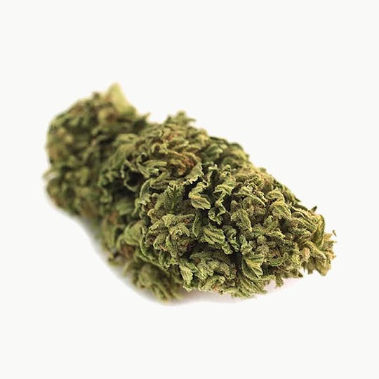 Magic Weed Amsterdam - Cannatonic Express Indoor CBD certified - 1