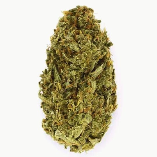 Magic Weed Amsterdam - Amnesia Haze Indoor CBD certified - 1
