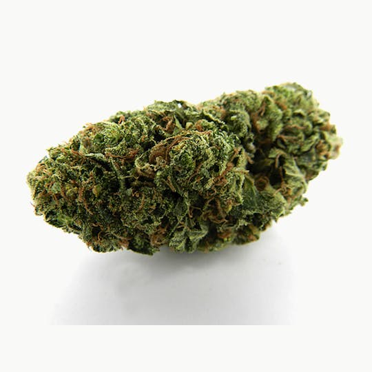 Magic Weed Amsterdam - Strawberry Haze Indoor CBD certified - 1