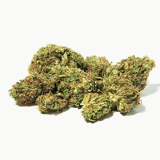 Magic Weed Amsterdam - Dutch Kush Indoor CBD certified - 1