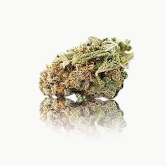 Magic Weed Amsterdam - Sweet Mango Green House CBD certified - 1