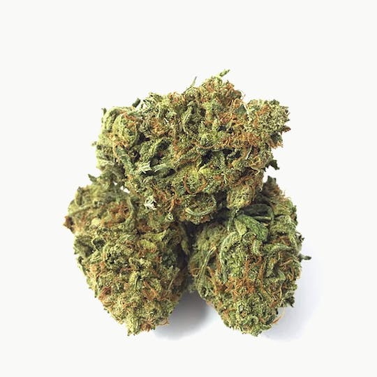 Magic Weed Amsterdam - Super Silver Haze Indoor CBD certified - 1