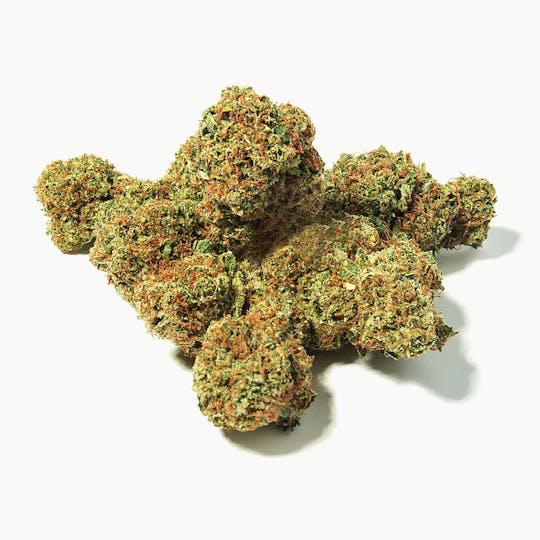Magic Weed Amsterdam - White Widow Indoor CBD certified - 1