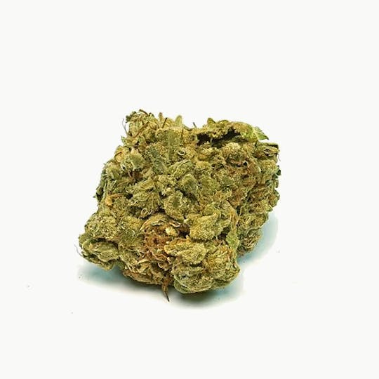 Magic Weed Amsterdam - Jack Herer Green House CBD certified - 1