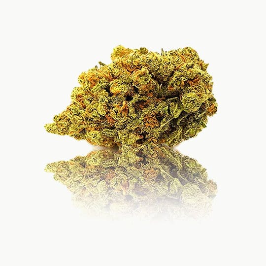 Magic Weed Amsterdam - Dutch Skunk Indoor CBD certified - 1