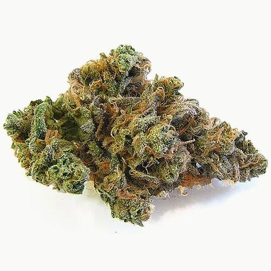 Magic Weed Amsterdam - Blue Cheese Indoor CBD certified - 1