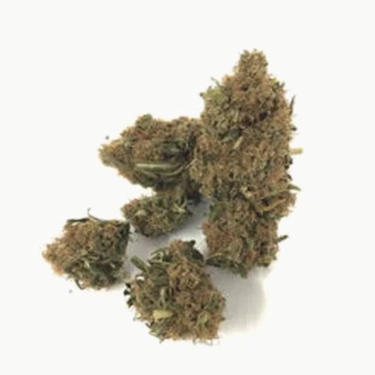 Magic Weed Amsterdam - Jamaica Haze Indoor CBD certified - 1