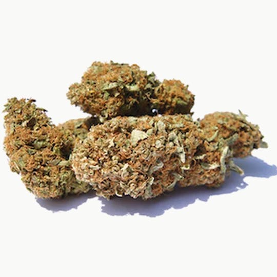 Magic Weed Amsterdam - Orange Bud Indoor CBD certified - 1