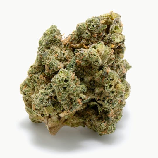 Tryke - Refined Taste - 1