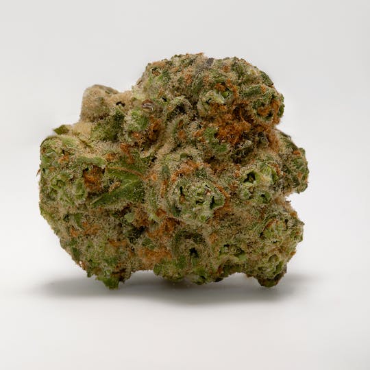 Tryke - Tangie Punch - 1