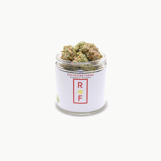 Rochester Farms - Purple Pineapple Express #4 - 1