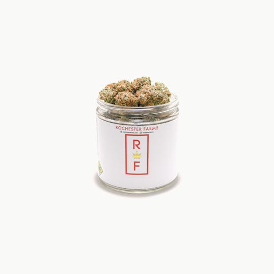 Rochester Farms - Black Cherry Soda - 1