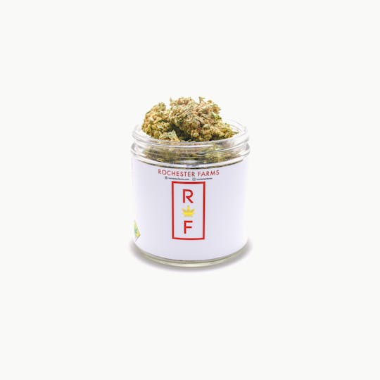 Rochester Farms - Blackberry TrainWreck - 1