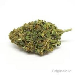 Bob`s Limited