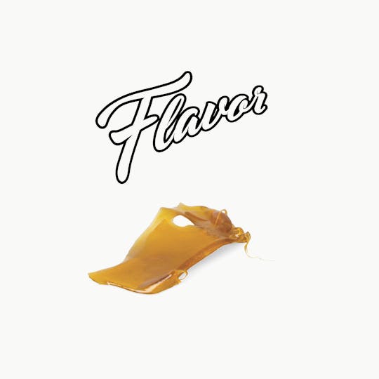 Flavor - Flavor | Purple Punch Shatter - 1