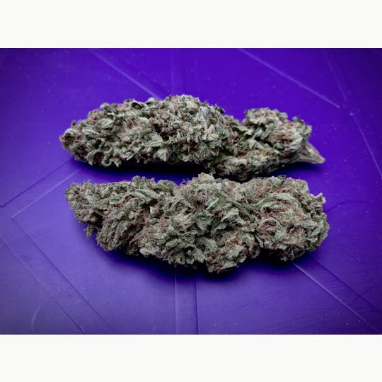 Simply Cannabis 207 - Jack Herer - 1