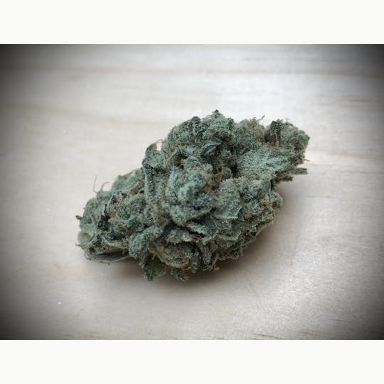 Simply Cannabis 207 - 🐶 🐒 👶 Puppy Monkey Baby 🐶 🐒 👶 - 1