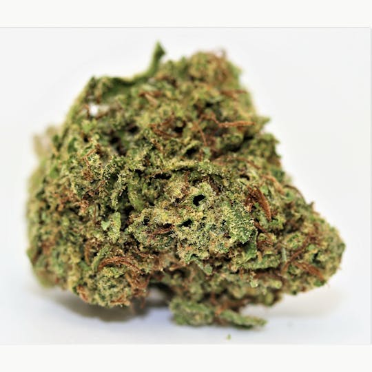 Elevation 207 - Jack Herer - 1