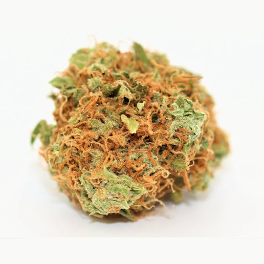 Elevation 207 - White Gold - 1