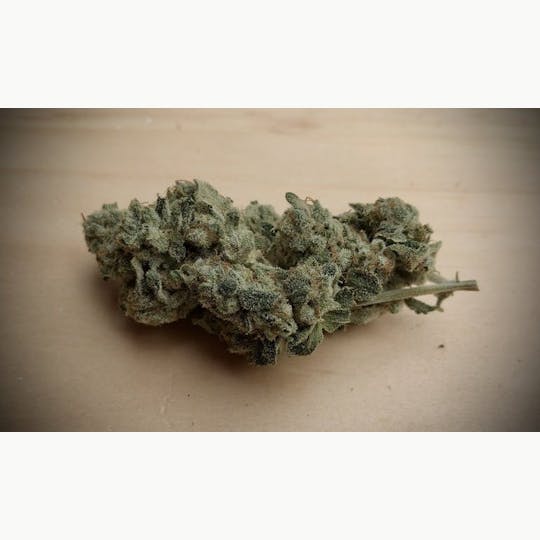 Simply Cannabis 207 - Grease Monkey - 1