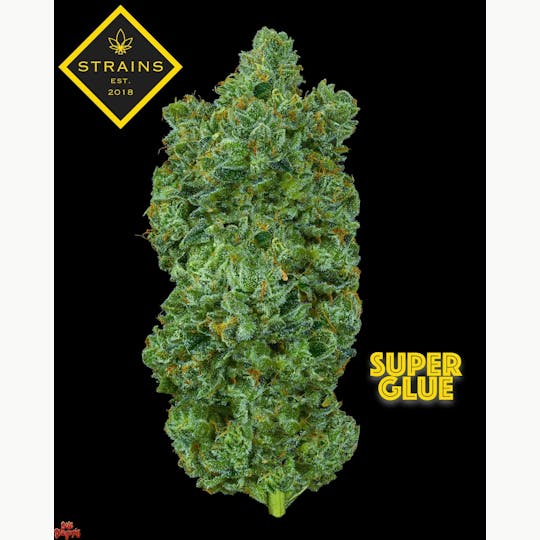 Strains - Super Glue 3.5g - 1