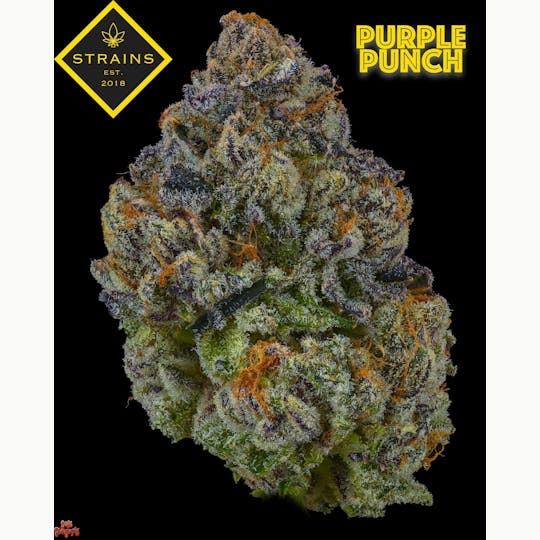 Strains - Purple Punch - 1