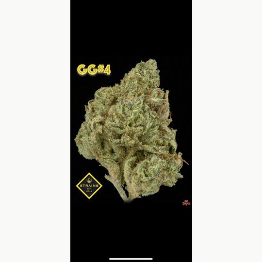Strains - GG4 3.5G - 1