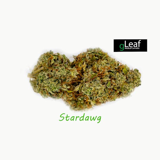 gLeaf - STARDAWG - 1