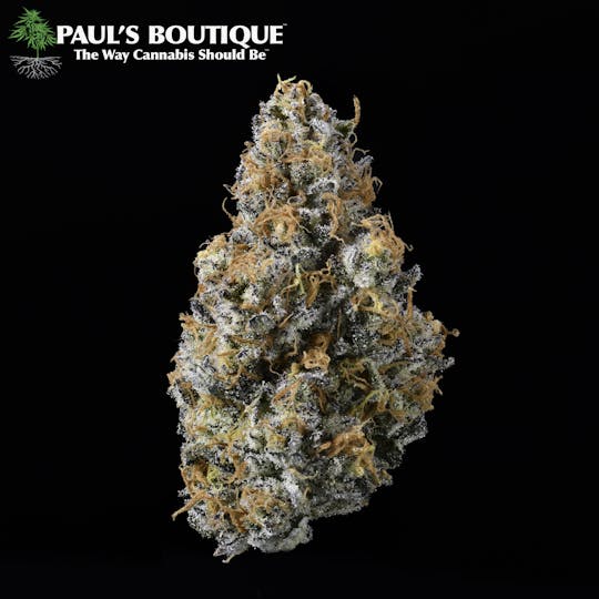 Paul's Boutique - Thai x East Coast Sour Diesel - 1