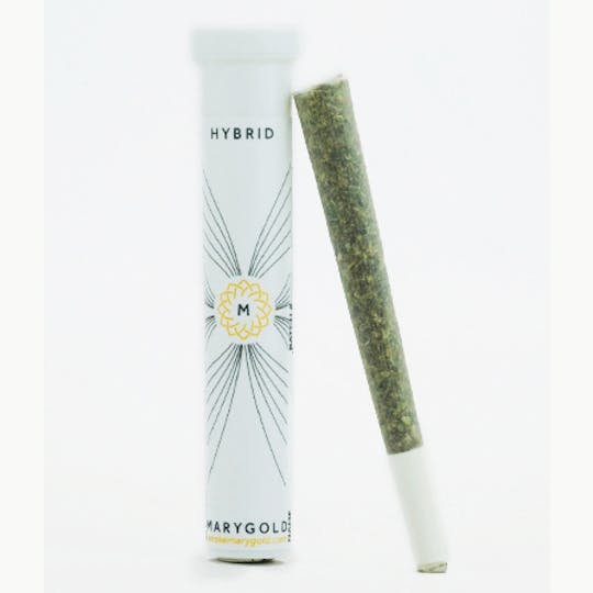 Marygold - Marygold Hybrid Pre-roll - 1
