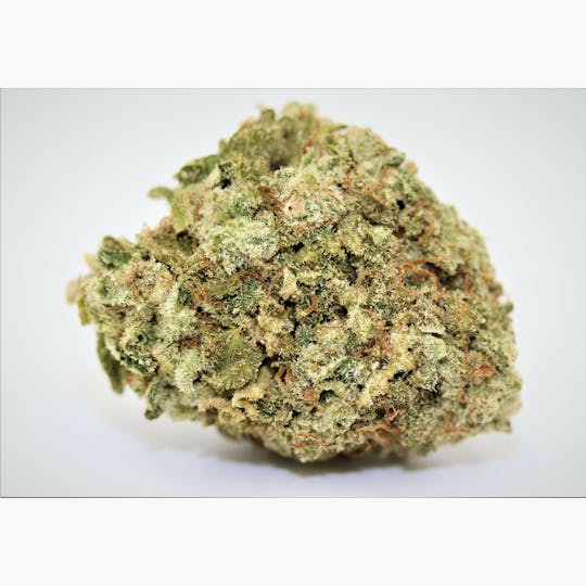 Elevation 207 - Widow Glue - 1