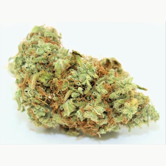 Elevation 207 - Kandy Kush * Green House Special* - 1