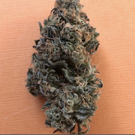 Simply Cannabis 207 - Modified Reunion (Respect OG x GMO) - 1