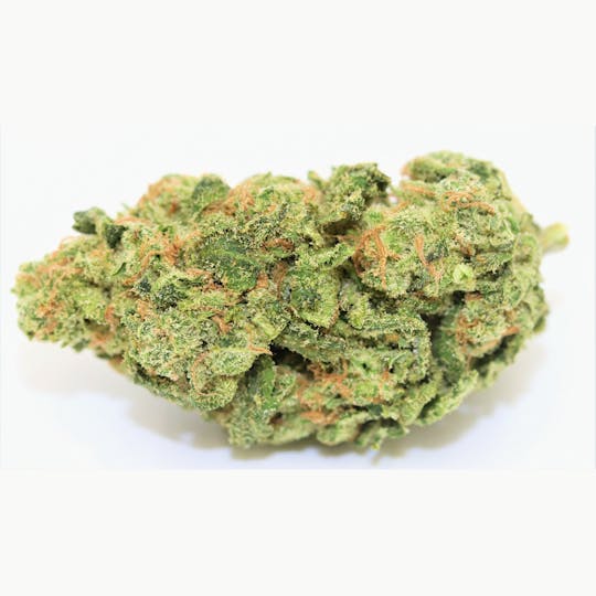 Elevation 207 - Blue Haze - 1