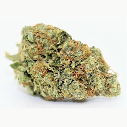 Elevation 207 - French Cookies X - 1
