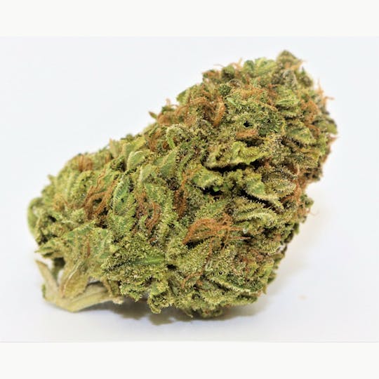 ERBA - ERBA - Head Cheese - 1