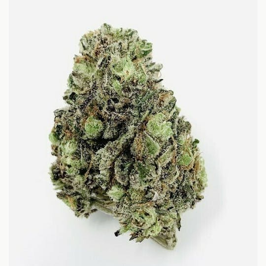 ERBA - ERBA - Blue Lime Slime - 1