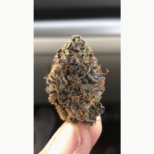 Simply Cannabis 207 - Blackberry Kush - 1