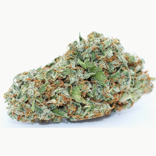 Elevation 207 - Citral Glue - 1